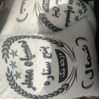 دمسیاه هاشمی