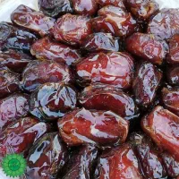 خرمای کبکاب