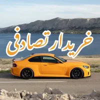 206تیپ 5 / تصادفی چپی ضرب خورده