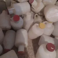 دبه خیارشور