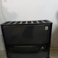 بخاری سالم