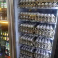 نیرو خانم جهت همکاری .