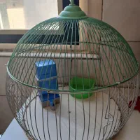 قفس پرنده سالم و درحد نو