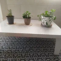 یک عدد میز تحریر