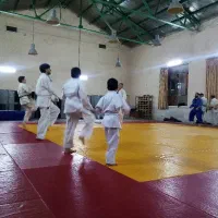 اموزش جودو