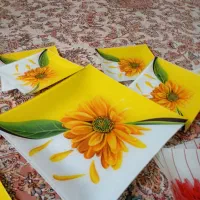 ظروف میوه خوری آرکوپال