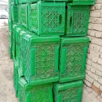 سبد دو کلیو نیمی سرکان ۸۰عدد