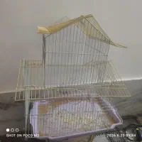 پرنده چندبعدی برای تزیین درباغ و ویلا بلدرچین کوهی