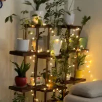 استند چوبی گل
