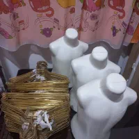 تنه و چوب لباسی