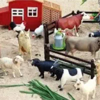 استخدام کشاورز محلی