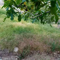 زمین فروشی روستای مسکون