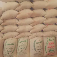 برنج آراد. طارم گرگان