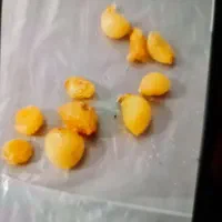 سیر پوست کنده همدان ۴۰۰ کیلو