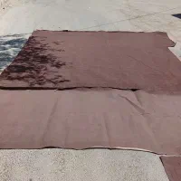 ۴۱ متر موکت درحد نو