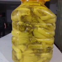 ترشی بیلهر