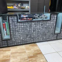 میز پاچال