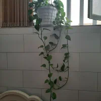 گل و گلدان