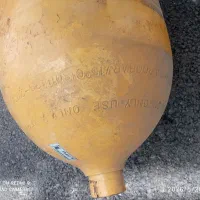 کپسول دوقلو پرایدی،تاریخ 2025