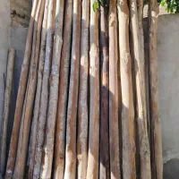 درخت برای نجاری