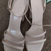 کفش مجلسی