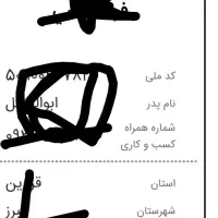 صدور مجوز مشاغل خانگی