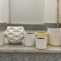 گلدان گل