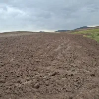 زمین