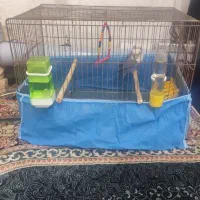 دوتا قفس کوچیک و بزرگ
