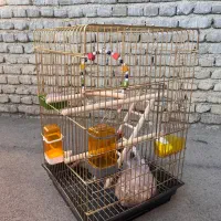 قفس پرنده