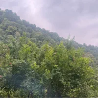 شریعتی/کشواد/باغ صبا/کلیم‌کاشانی