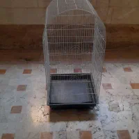 قفس بزرگ