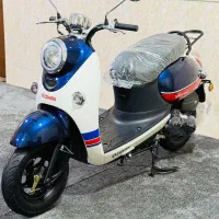 پاکشتی کواکس طرح وینو