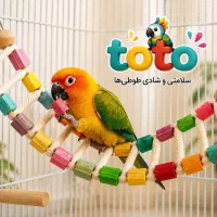 طو طو|پرنده|پردیس, فاز ۳|دیوار