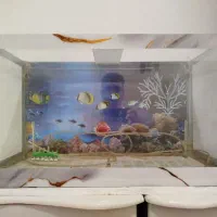 آکواریوم|ماهی|رباطکریم, مسکن مهر آبشناسان|دیوار