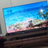 ال ای دی دوو دارای فلش در حد نو
