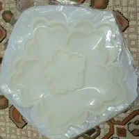 قالب سیلیکونی