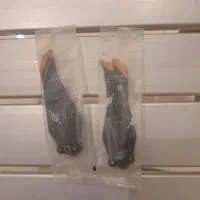 ملخ  پرنده