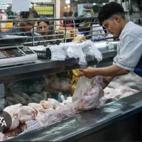 کارگر با تجربه برای مرغ فروشی