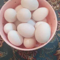 تخم مرغ گلین
