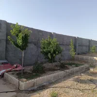 دور-دیوار-شاهنامه-فردوسی