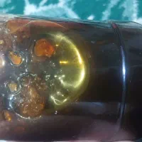 عسل کوهی