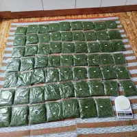 سبزی خورشتی بابهترین کیفیت کیلو۶۵