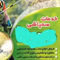 سمپاشی وضد عفونی کردن بالا پشت بام بخاطر کبوتر