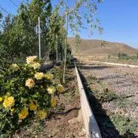 باغ-2000-متری-جاده-تهران-دیزج-اباد