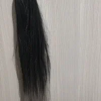 مو دم اسبی ۶۰سانت