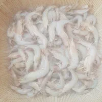 میگو تازه