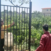 450متر باغ بهت میدم که سند تگ برگ+آب+فنس داره|فروش دفتر صنعتی، کشاورزی، تجاری|تهران, دریاچه شهدای خلیج فارس|دیوار