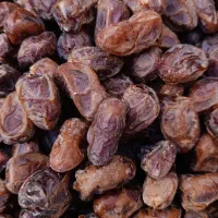 خرما کبکاب درجه یک امسال