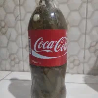 خیارشور